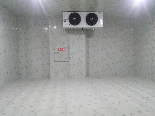 蘋果冷庫1.jpg