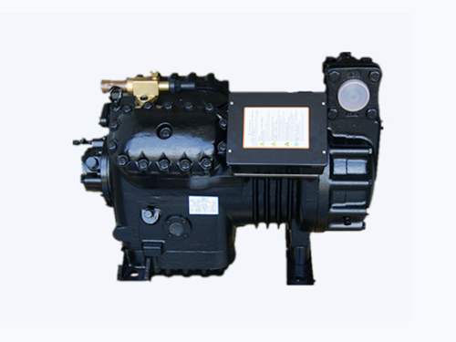 25P沈陽(yáng)谷輪壓縮機(jī)BFS251