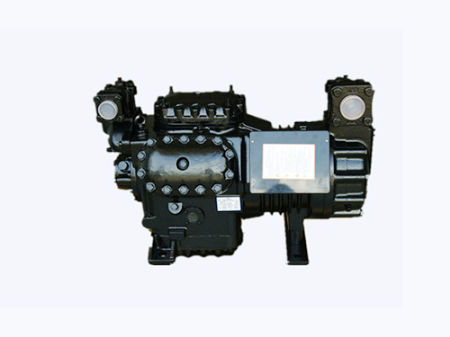 30P沈陽(yáng)谷輪壓縮機(jī)BFS301
