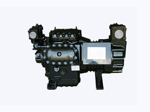 50P沈陽(yáng)谷輪壓縮機(jī)BFS501